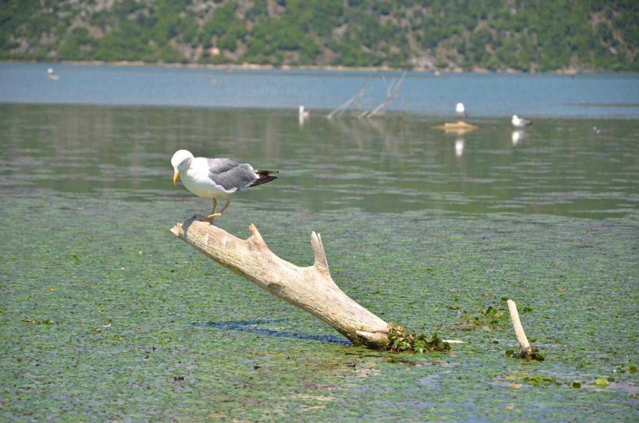 Hotel Pelikan Virpazar Bagian luar foto